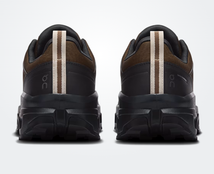 Cloudrock Low WP Men Earth / Black