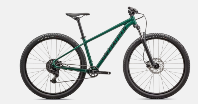 ROCKHOPPER SPORT VN Gloss Pine Green / Obsidian